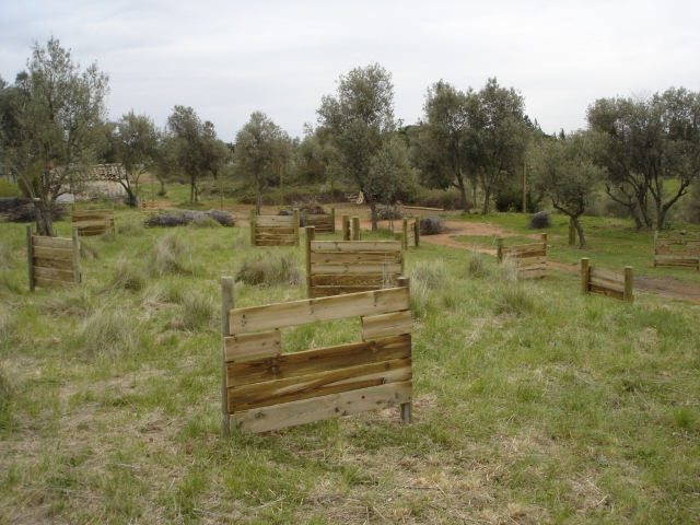 General view of the field 